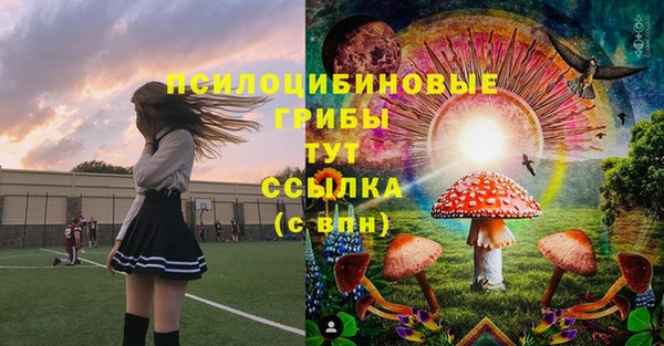 амф Корсаков