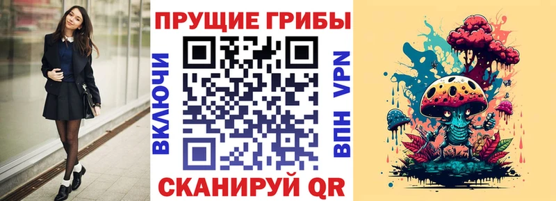 Псилоцибиновые грибы Psilocybine cubensis  Купить  Коряжма 