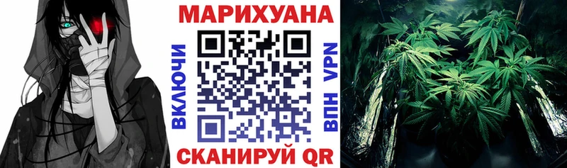 Бошки марихуана OG Kush  Купить где  Коряжма 